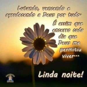 Linda noite