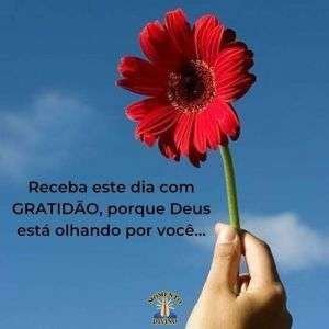 Receba o dia com gratidão
