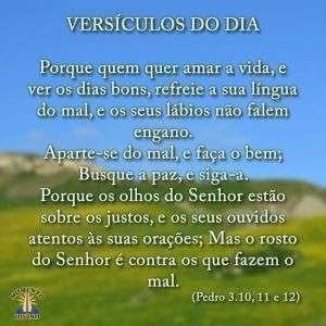 Versículos do dia
