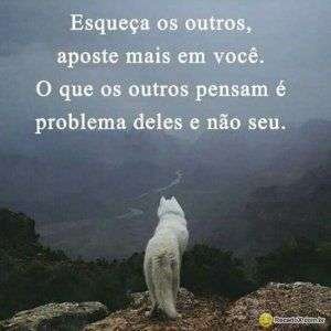 Aposte mais em você