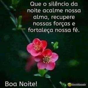 Boa noite