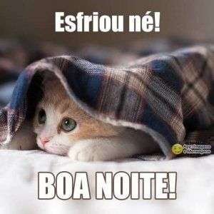 Boa noite