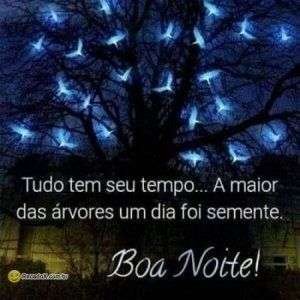 Boa noite