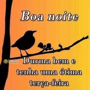 Boa noite