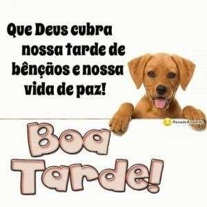 Boa tarde abençoada