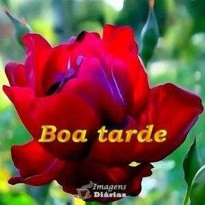 Boa tarde