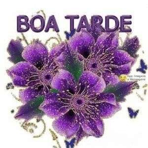 Boa tarde