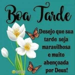 Boa tarde