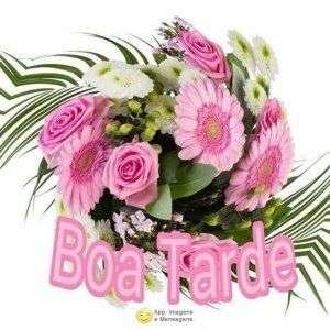 Boa tarde