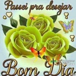 Bom dia