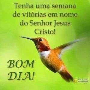 Bom dia