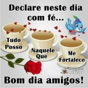 Bom dia amigos