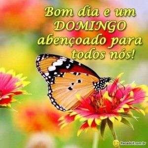 Bom dia de domingo