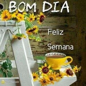 Bom dia e feliz semana