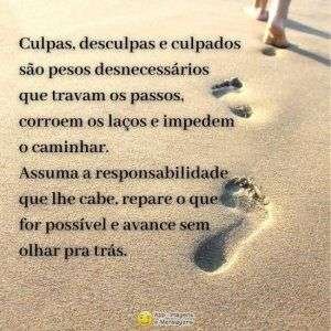 Culpas, desculpas e culpados