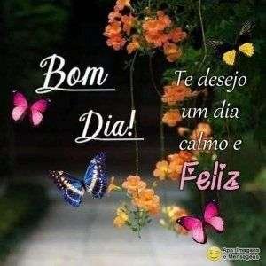 Dia calmo e feliz