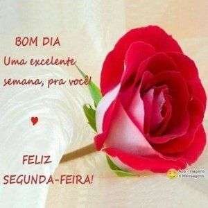 Feliz segunda-feira