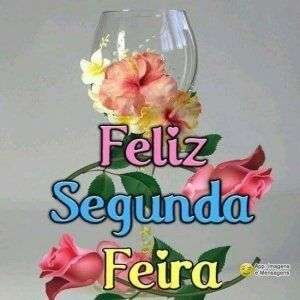 Feliz segunda-feira