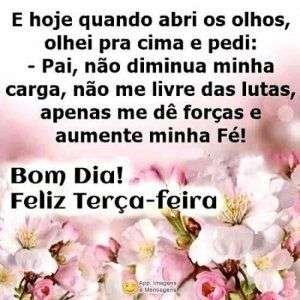 Feliz terça-feira