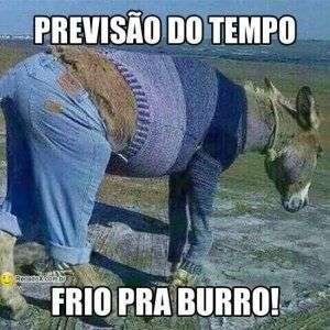 Frio pra burro