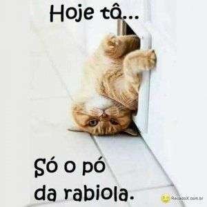 Tô só o pó da rabiola