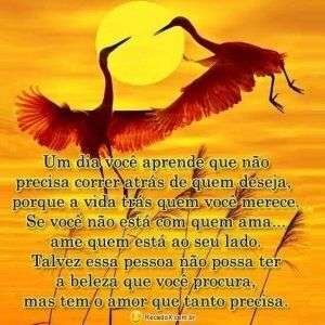 Um dia você aprende