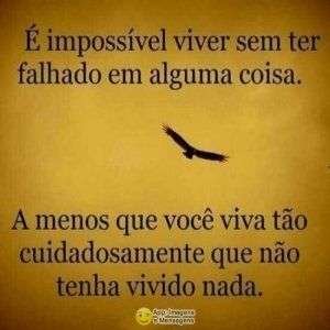 Viver sem ter falhado