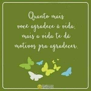 Agradecer à vida