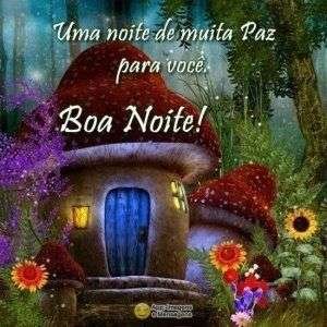 Boa noite