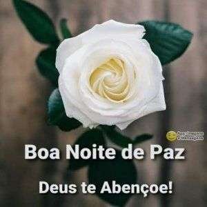 Boa noite