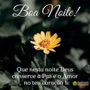 Boa noite