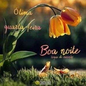 Boa noite