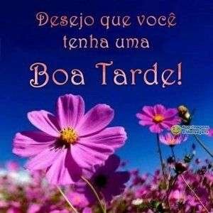 Boa tarde
