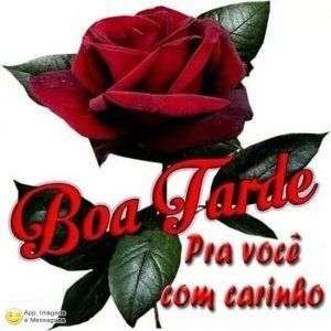 Boa tarde com carinho