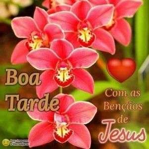 Boa tarde de bênçãos