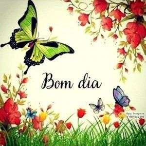 Bom dia