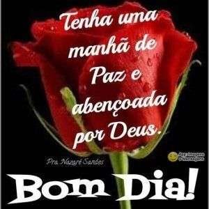 Bom dia