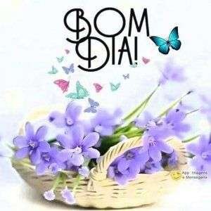 Bom dia