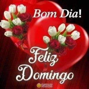 Bom dia e feliz domingo