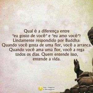 Diferença entre gostar e amar