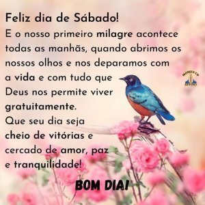 Feliz dia de Sábado