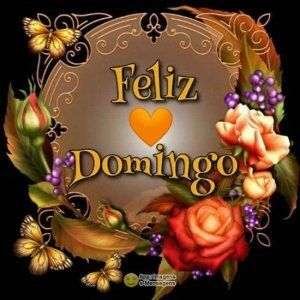Feliz domingo