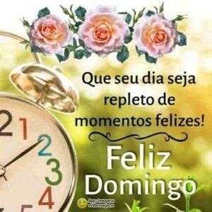 Feliz domingo