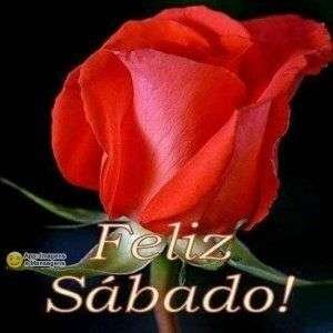 Feliz sábado