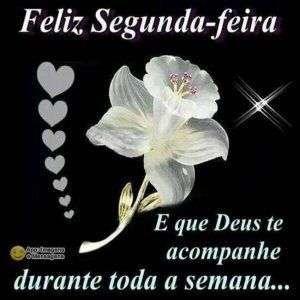 Feliz segunda-feira