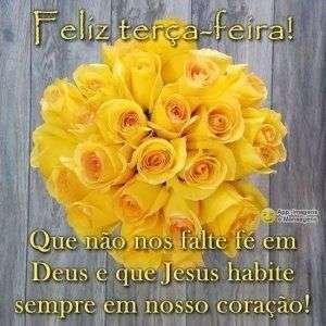 Feliz terça-feira