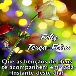 Feliz terça-feira