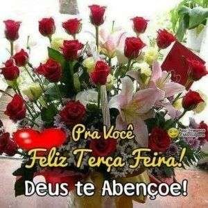 Feliz terça-feira