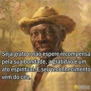 Gratidão e bondade