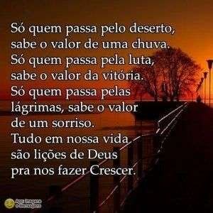 Lições para crescer